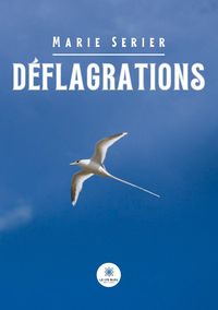 Produktbild: Serier, M: D&eacute;flagrations