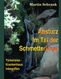 Produktbild: Absturz im Tal der Schmetterlinge