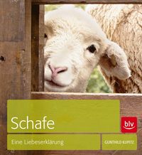 Schafe von Gunthild Kupitz