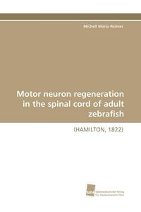 Produktbild: Motor neuron regeneration in the spinal cord of adult zebrafish