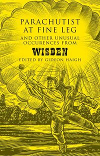 Produktbild: Parachutist at Fine Leg