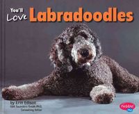 Produktbild: Youll Love Labradoodles