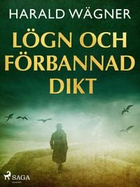 Produktbild: L&ouml;gn och f&ouml;rbannad dikt