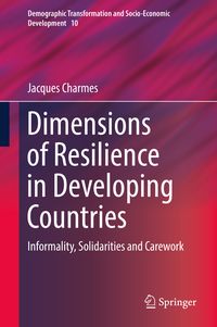 Bild vom Artikel Dimensions of Resilience in Developing Countries vom Autor Jacques Charmes
