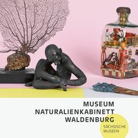 Produktbild: Museum Naturalienkabinett Waldenburg