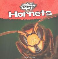 Produktbild: Hornets