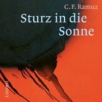 Produktbild: Sturz in die Sonne