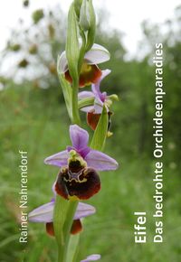 Bild vom Artikel Eifel - Das bedrohte Orchideenparadies vom Autor Rainer Nahrendorf
