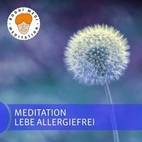Produktbild: Meditation lebe allergiefrei