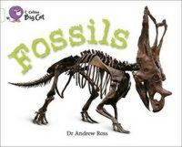 Produktbild: Fossils
