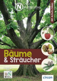 Bild vom Artikel Bäume und Sträucher vom Autor Birgit Kuhn