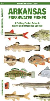 Produktbild: Arkansas Freshwater Fishes