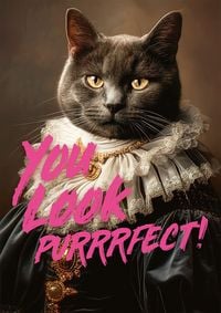 Produktbild: You Look Purrrfect! 1000 Teile Puzzle