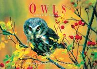 Produktbild: Owls