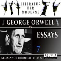 Produktbild: Essays 7