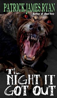 Produktbild: The Night It Got Out