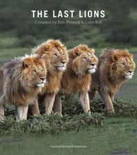 Produktbild: The Last Lions