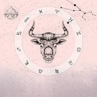 Produktbild: Oxen
