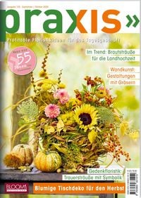 Produktbild: Praxis Nr. 125