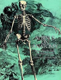 Bild vom Artikel Albinus on Anatomy vom Autor Robert Beverly Hale