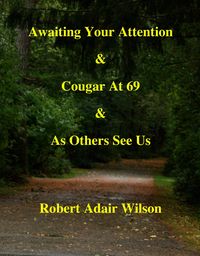 Produktbild: Awaiting Your Attention & Cougar At 69 & As Others See Us