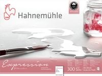 Produktbild: Hahnem&uuml;hle Papier Expression Watercolour, 30 x 40 cm, 300 g/m&sup2;