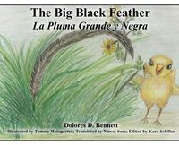 Produktbild: The Big Black Feather