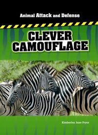 Produktbild: Clever Camouflage