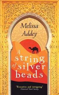Produktbild: A String of Silver Beads