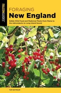 Produktbild: Foraging New England