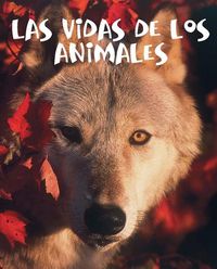 Produktbild: Las vidas de los animales