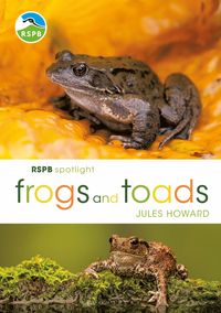 Produktbild: RSPB Spotlight Frogs and Toads