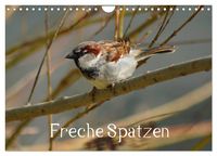 Produktbild: Freche Spatzen (Wandkalender 2026 DIN A4 quer), CALVENDO Monatskalender