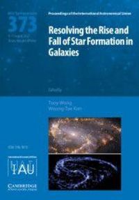 Produktbild: Resolving the Rise and Fall of Star Formation in Galaxies (Iau S373)
