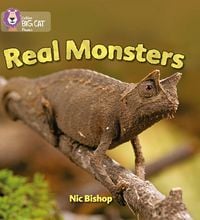 Produktbild: Real Monsters