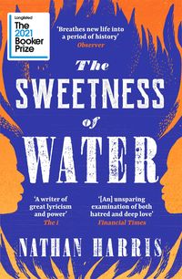 Bild vom Artikel The Sweetness of Water vom Autor Nathan Harris