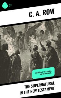 Produktbild: The Supernatural in the New Testament