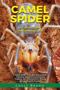 Produktbild: Camel Spider