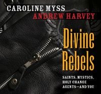 Produktbild: Divine Rebels: Saints, Mystics, Holy Change Agents--And You