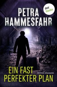 Produktbild: Ein fast perfekter Plan