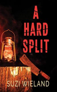 Produktbild: A Hard Split (Twisted Twins, #3)