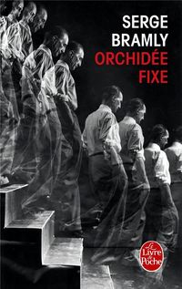 Produktbild: Orchidee Fixe