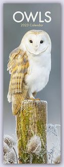 Produktbild: Owls &ndash; Eulen 2023
