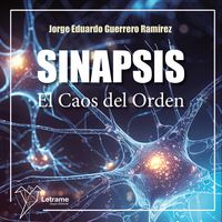 Produktbild: Sinapsis