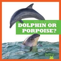 Produktbild: Dolphin or Porpoise?