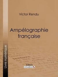 Produktbild: Amp&eacute;lographie fran&ccedil;aise