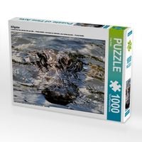 Produktbild: CALVENDO Puzzle Alligator | 1000 Teile Lege-Gr&ouml;&szlig;e 64x48cm Foto-Puzzle f&uuml;r gl&uuml;ckliche Stunden