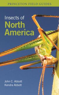 Produktbild: Insects of North America