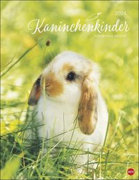 Bild vom Artikel Kaninchenkinder Posterkalender 2024 vom Autor Wegler Monika