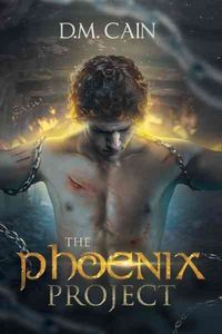 Produktbild: Phoenix Project